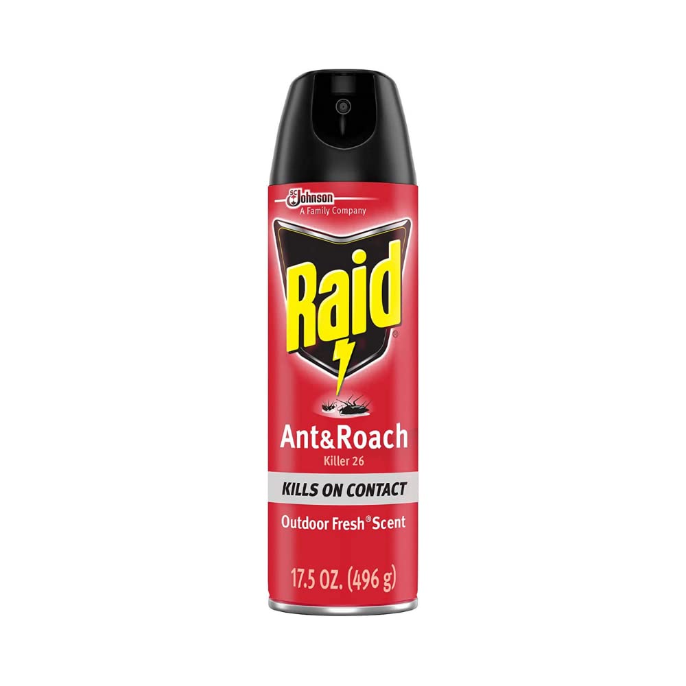 INSECTICIDA RAID ANT & ROACH OUTDOOR FRESH SCENT 496 GR