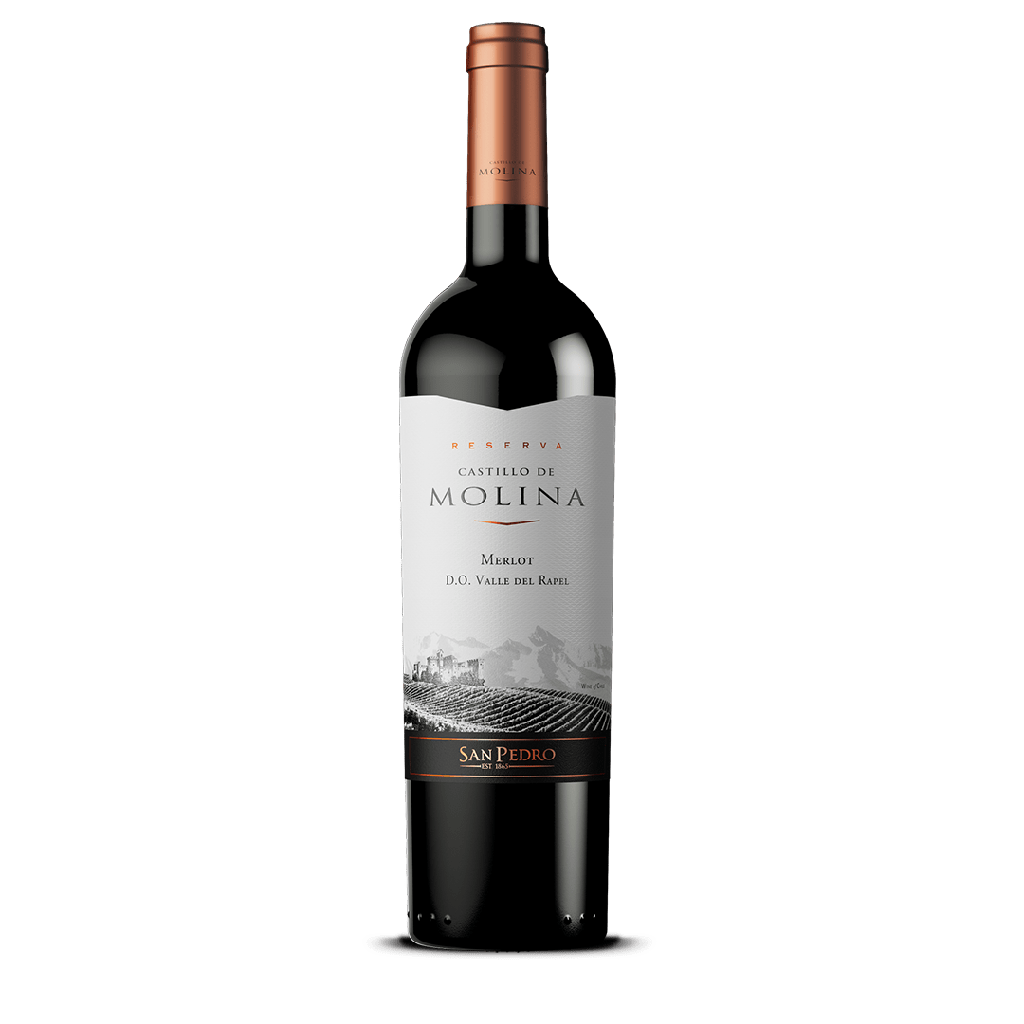 VINO CASTILLO DE MOLINA RESERVA MERLOT 2019 0.75 L