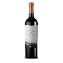 VINO CASTILLO DE MOLINA RESERVA CABERNET SAUVIGNON 2019 0.75 L
